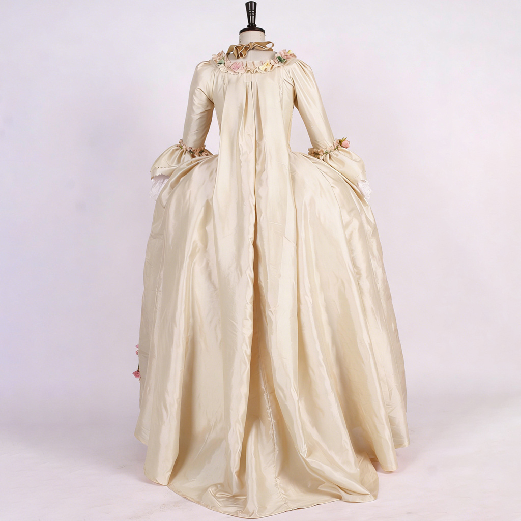 Robe a la francaise 18th Centu - Evening Gown 评论和价格